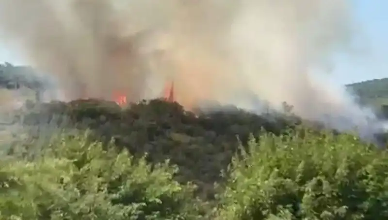 İstanbul Orman Yangını: Vatandaşlar Acil Olarak Tahliye Ediliyor