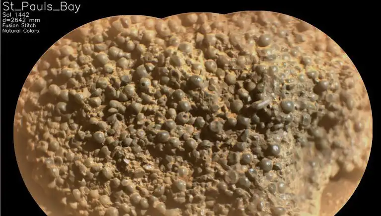 Mars'ta Heyecan Verici Keşif: Örümcek Yumurtaları mı Bulundu?