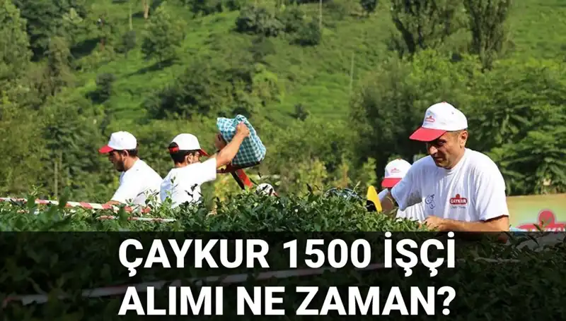 Çaykur İşçi Alımı İçin Başvurular Ne Zaman Başlayacak? İşte Tüm Detaylar
