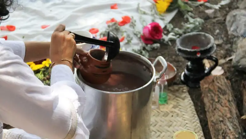 Ayahuasca: Gizemli Şifa İçeceği ve Yasal Durumu