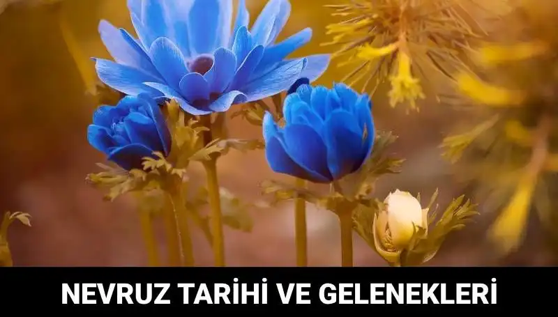 Nevruz Bayramı: Tarihçesi ve Gelenekleriyle Dolu Bir Kutlama