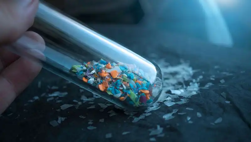Mikroplastikler Beynimizde: Sağlığımızı Tehdit Eden Gizli Düşmanlar