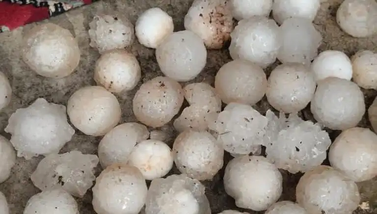 Şanlıurfa’da Kar Topu Büyüklüğünde Dolu Yağışı Şok Etti