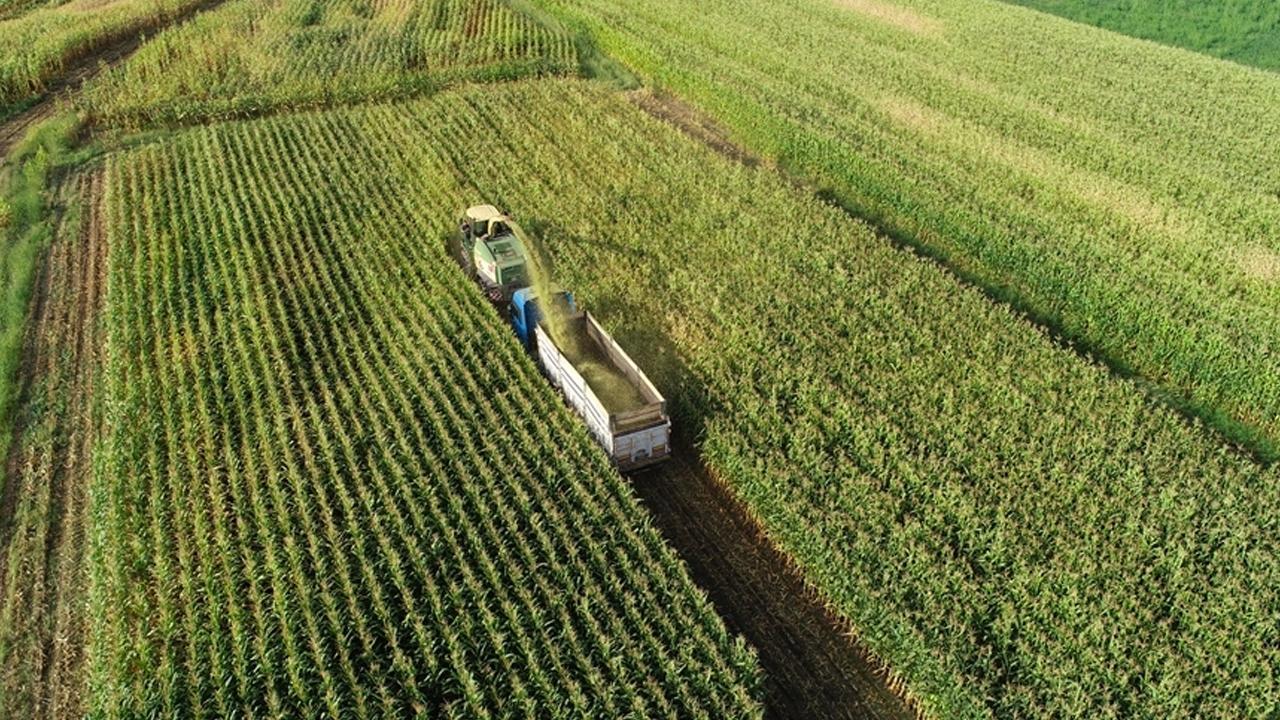 Tarım sektörüne 2,3 milyar liralık destekleme ödemesi yapılacak