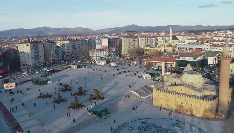 Kırşehir'de Bilim Dünyasında Heyecan Yaratan Yeni Bir Böcek Türü Keşfedildi