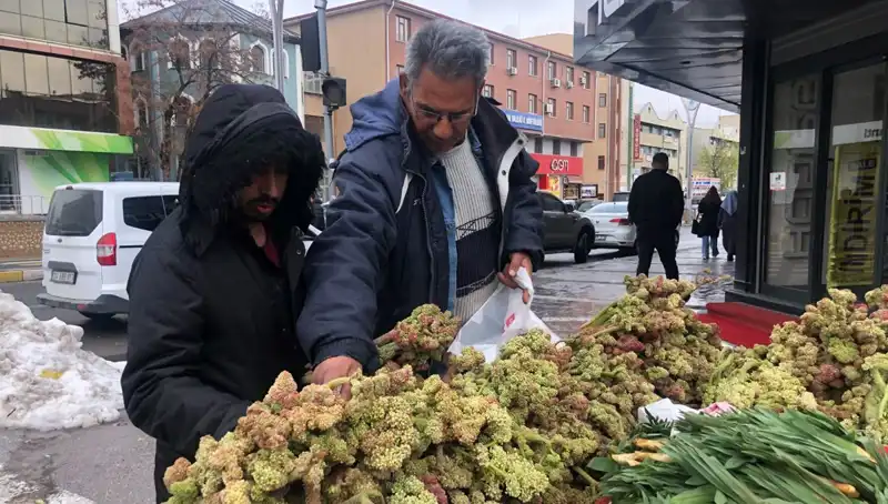 Kendiliğinden Yetişen Bitkiler, Kanserle Mücadelede Yeni Umut Oldu