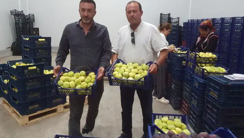 Mersinli Çiftçilerin Yüzü Güldü: 20 TL'den İhraç Ürünü