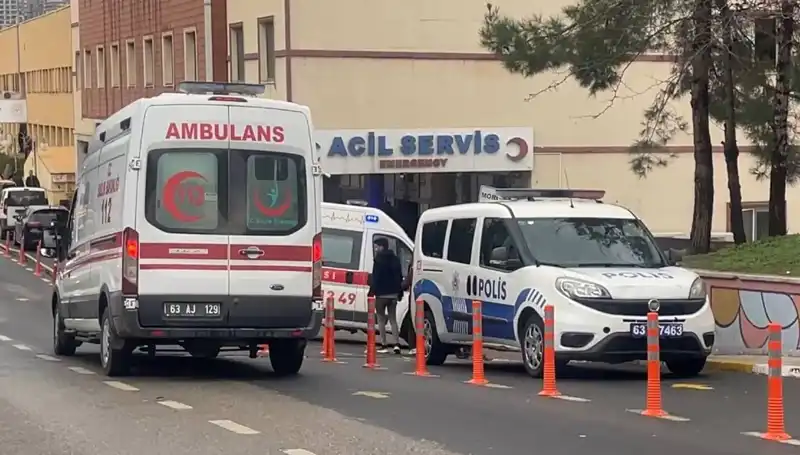 Şanlıurfa'da Elektrik Akımına Kapılan Yıldırım, Hayatını Kaybetti