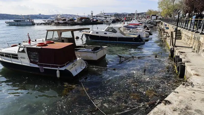 İstanbul'da Müsilaj Tehdidi: Marmara Denizi'nde Kabus Tekrar mı Başlıyor?