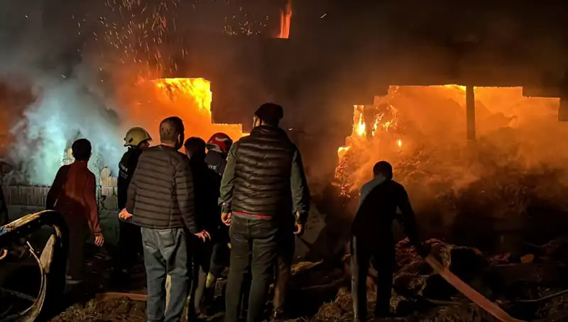 Bolu’da Korkunç Ahır Yangını: Hayvanlar ve Mülk Tehlikede!
