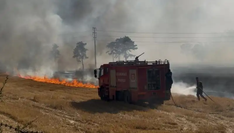 Kırklareli'nde Gözleri Dolduran Anız Yangını: Korku Dolu Anlar