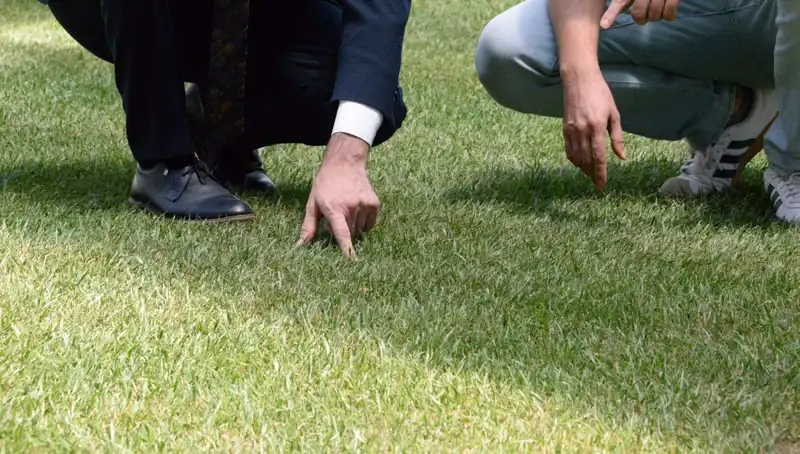 Stadyum Zeminindeki Sorun Çözülüyor: 10 Gün İçinde Hazır Olacak mı?