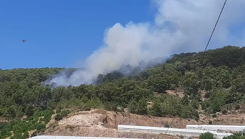 Kumluca'da Yangın Felaketi: Doğa ve Hayatlar Tehlikede