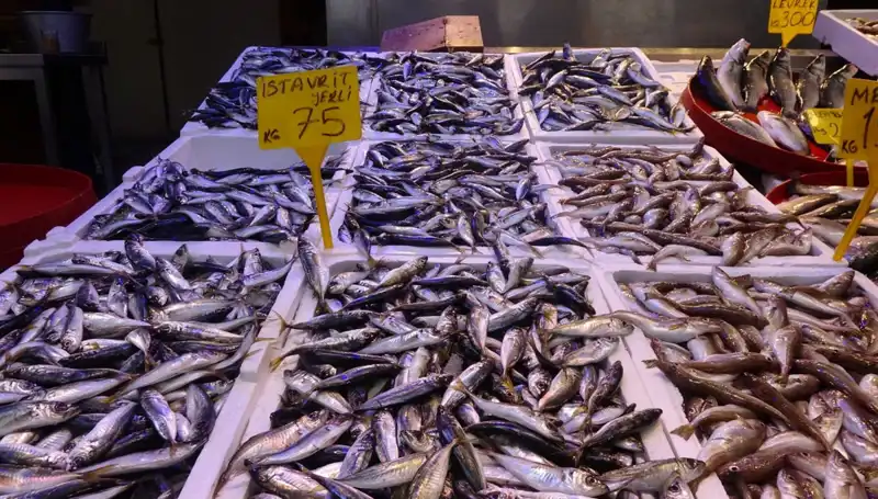 Balık Sezonu Kapatılırken Avcıları ve Tüketicileri Neler Bekliyor?