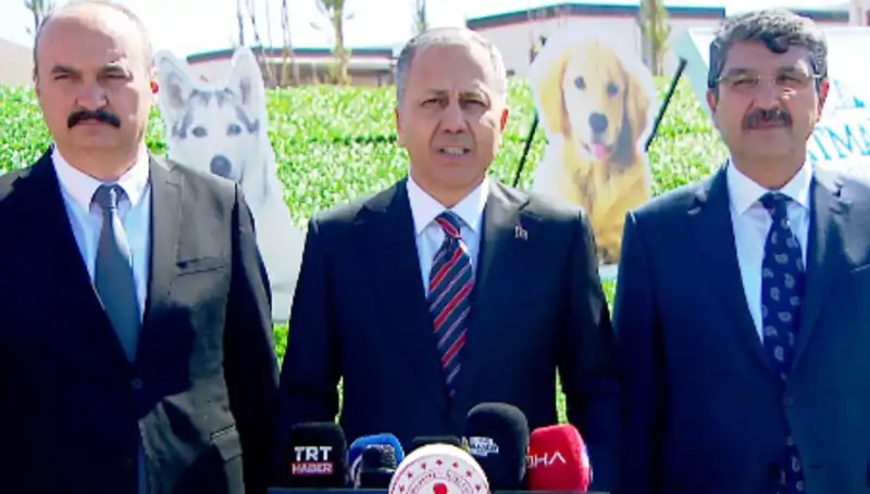 Sokak Köpekleri Tartışması: İçişleri Bakanlığı'nın 81 İle Gönderdiği Müfettişler Ne Getirecek?