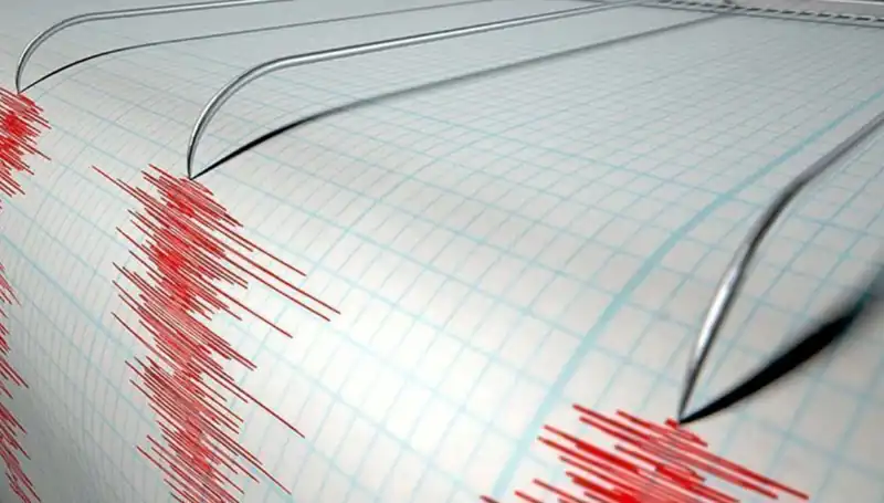 Yeni Zelanda'da Şiddetli 6,7 Büyüklüğündeki Deprem, Yaşamı Alt Üst Etti