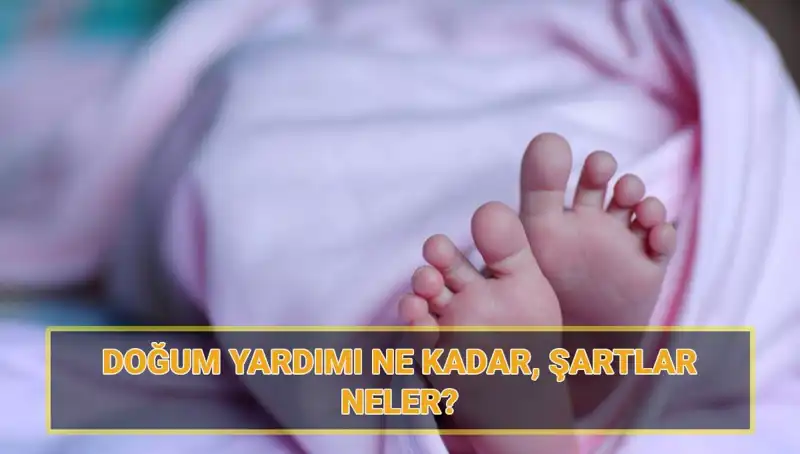 2025'te Doğum Parası Ne Kadar? Çocuk Parası Başvurusu İçin Gerekenler