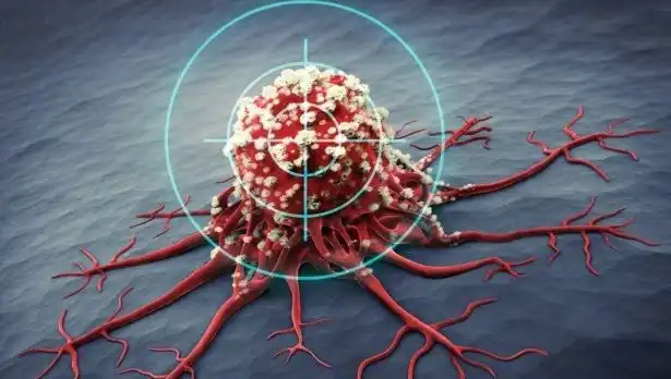Prostat Kanserine Karşı Etkili 6 Besin: Bilimsel Araştırmalar Destekliyor