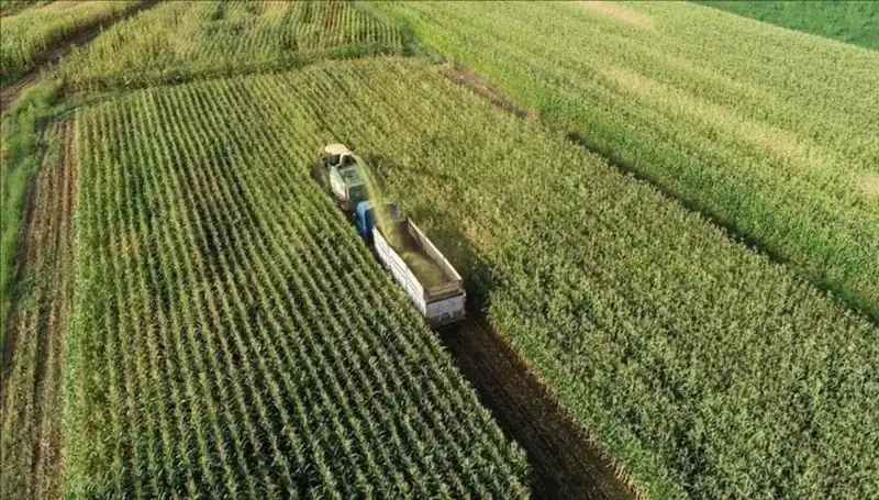 Mart 2025 Mazot ve Gübre Desteği Ödemeleri Hakkında Son Gelişmeler