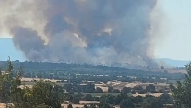 Komşu Ülkedeki Orman Yangını Edirne'yi Tehdit Ediyor
