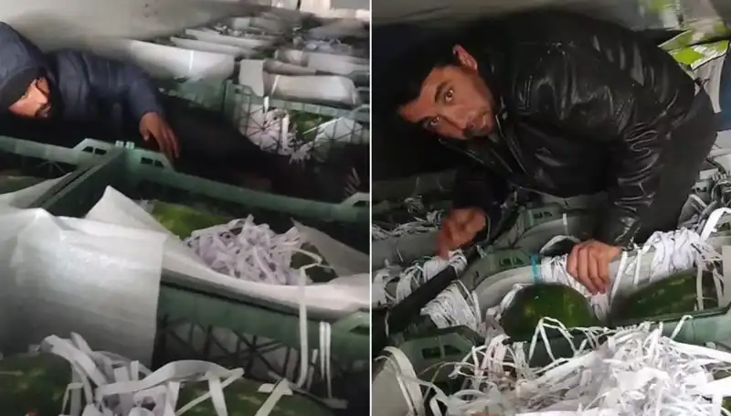 Karpuzların Arasından Çıkan Göçmenler: Yeni Bir Sığınma Hikayesi