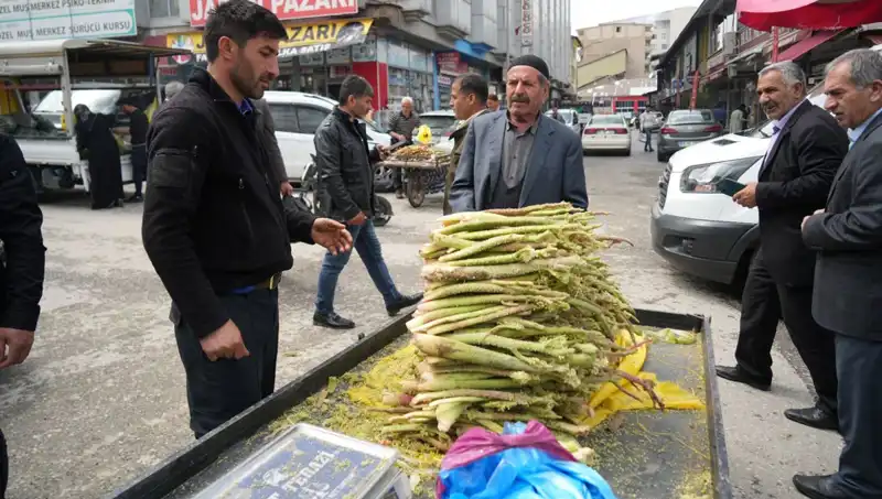 Dağlık Alanlardan Toplanan Şeker, Kanser ve Mide Hastalıklarına İyi Geliyor