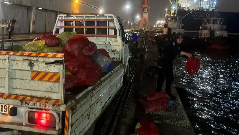 Kaçak Midyelerden Kanlı Operasyon: 10 Ton Ele Geçirildi!