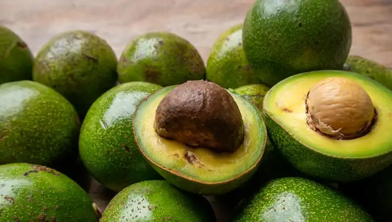 Avokado Çekirdeği Neden Çöpe atılmamalı? Sağlık Faydaları Şaşırtıyor!