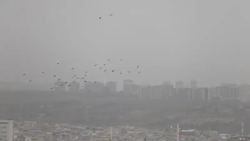 Şanlıurfa'da Görülen Toz Bulutu Hayatı Olumsuz Etkiledi