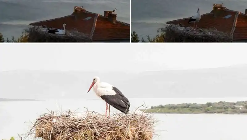 Yaren Leylek, Depremin Gelmesini Şaşırtıcı Şekilde Hissetti!