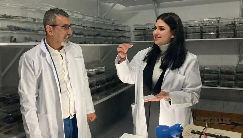 Akrep Zehri ile Şeker, Yeni Eşsiz Bir Lezzet Kombinasyonu