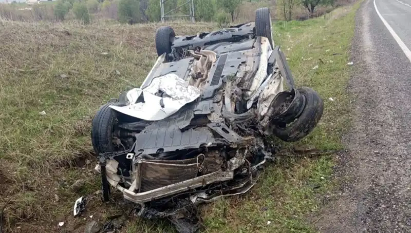 Yolda Domuz Fırtınası: Korkunç Trafik Kazasına Neden Oldu