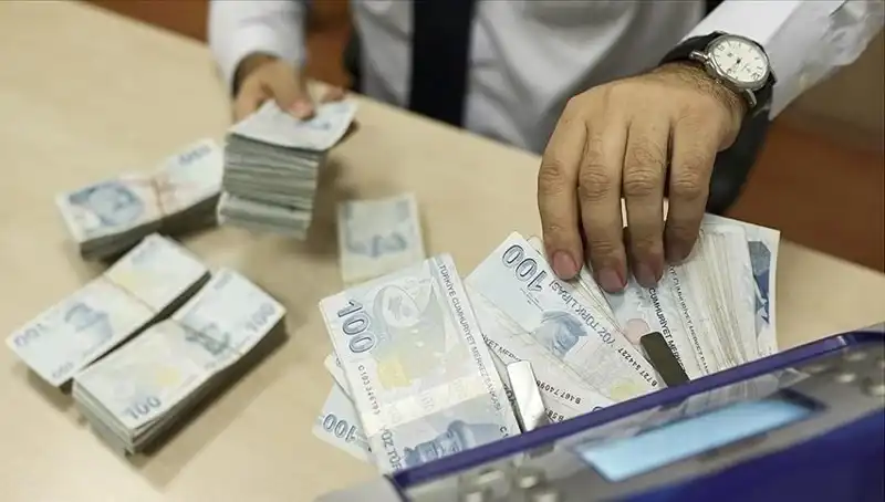 Türkiye'de 17,36 Milyon Kişi Bireysel Emeklilik Sistemine Katıldı